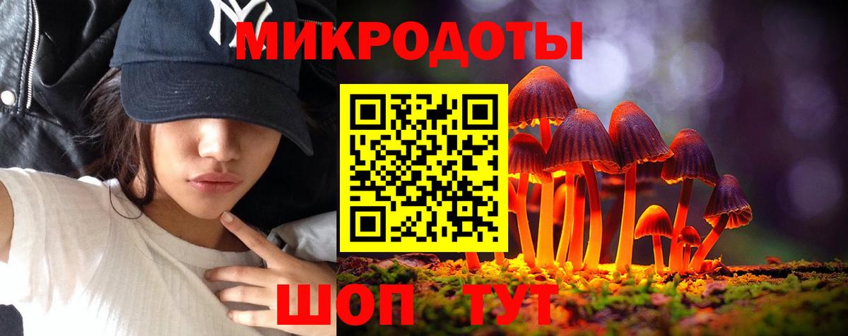 Псилоцибиновые грибы мухоморы Ногинск